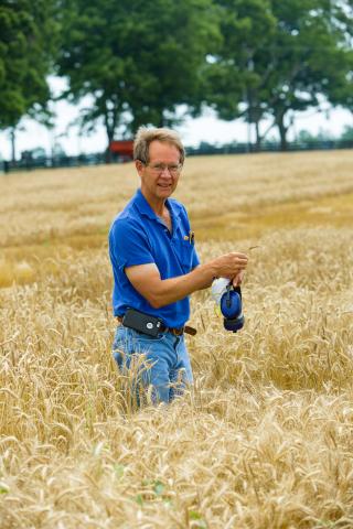David Van Sanford standing amongst mature wheat